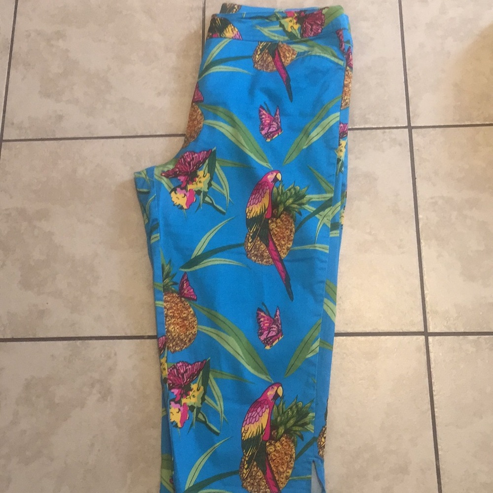 Bill Blass stretch Capris Pant